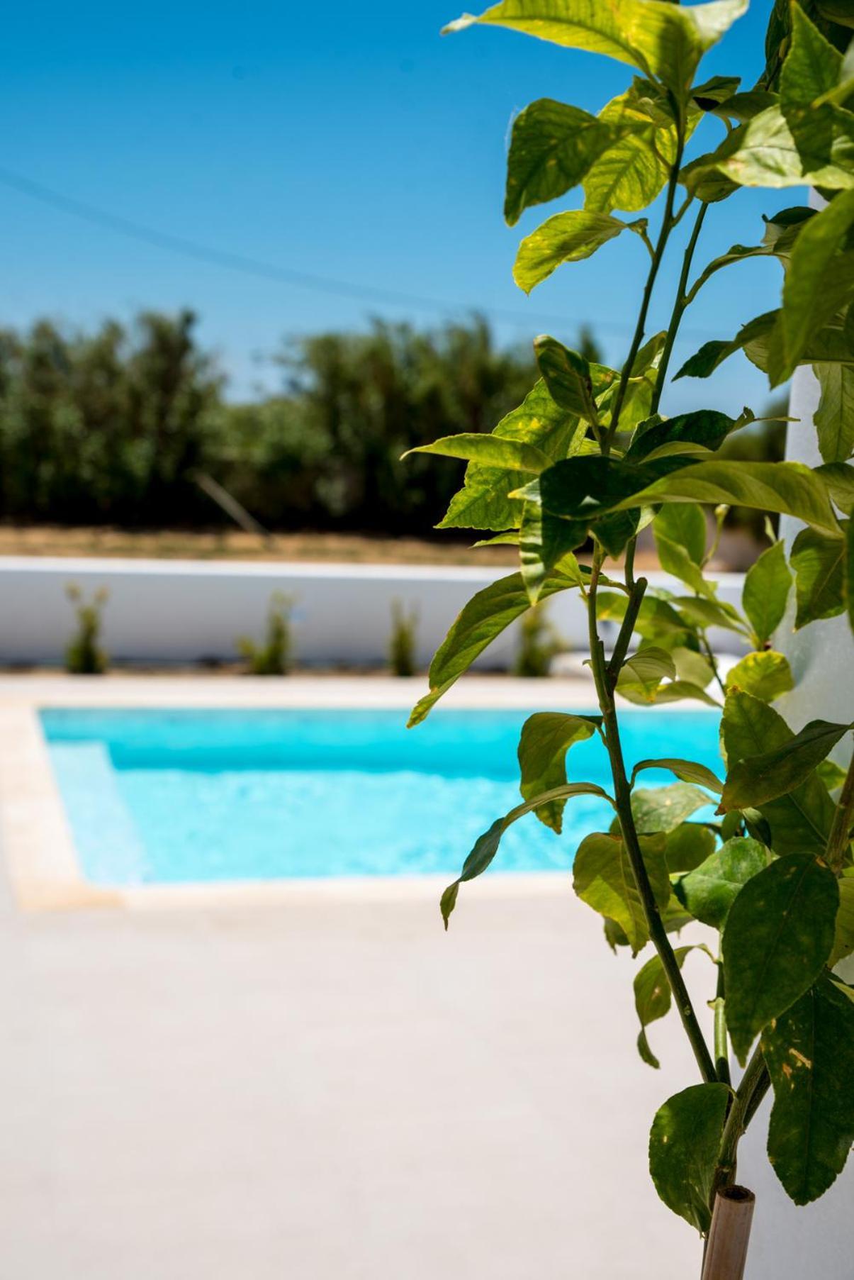 Depis Private Pool * Plaka (Naxos)